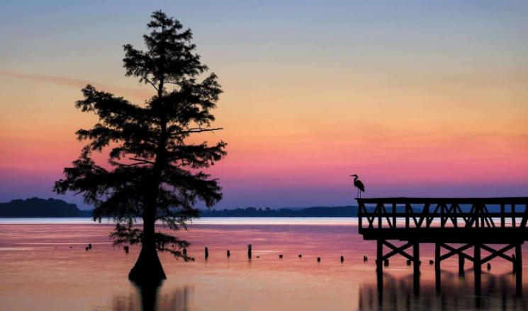 Best Lakes in Tennessee